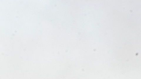 Panorámica de Seattle en el estado de Washington.