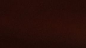 El gobernador Andrew Cuomo busca que no haya crisis de suministros clínicos.