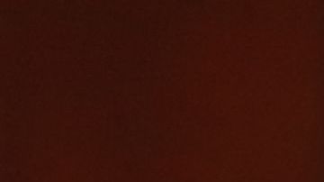 Andrew Cuomo, gobernador de Nueva York