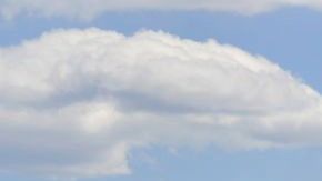 El coronavirus que llegó a Nueva York podría tener origen europeo.