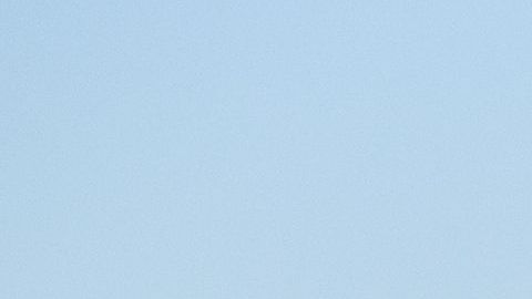 Los hechos ocurrieron en vuelo de KLM.