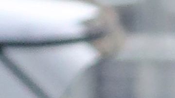 Meghan Markle y Harry habrían encontrado en una mansión de 18 millones de dólares su refugio de los paparazzi.