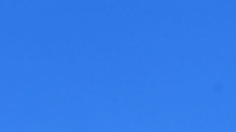 Wendy's carne escasez Costco McDonald's Burger King restaurantes COVID-19 Ohio Michigan Nueva York