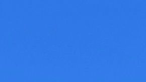 Wendy's carne escasez Costco McDonald's Burger King restaurantes COVID-19 Ohio Michigan Nueva York