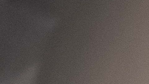 Pollo procesado en planta de carne.