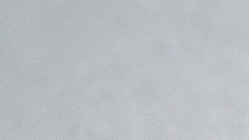 Desempleo coronavirus COVID-19 trabajo dinero cheque ayuda económica