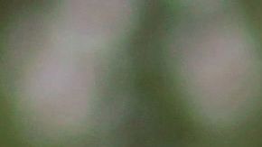 Amazon despide a más de 1,200 repartidores en todo el país