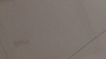 American airlines aerolínea coronavirus récord Argentina Miami COVID-19 SOYA