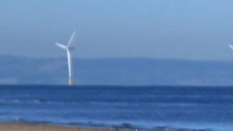 El animal apareció en una playa de Liverpool, Inglaterra.