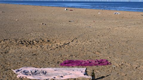 El animal apareció en una playa de Liverpool, Inglaterra.