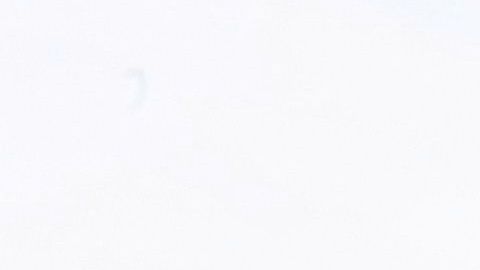 AMC inicia funciones de cine y ofrece boletos a 15 centavos de dólar