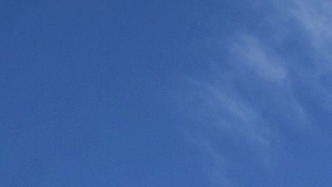 Pizza Hut Wendy's Bancarrota Prestamo dinero Tribunal NPC sucursales liquidaciones