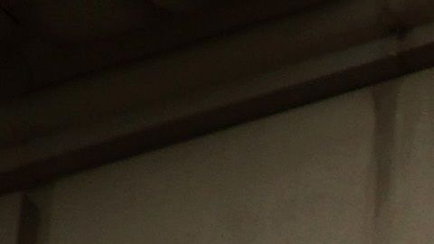 El segundo cheque de estímulo podría aprobarse esta semana