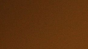 ¿En qué gastaste tu cheque?