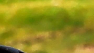 California registra una tasa de contagio por encima de los 7,000 diarios.