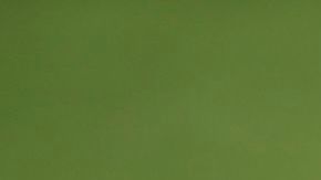 Lionel Messi en un partido con Barcelona.