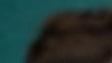 En diversas partes del mundo el uso de la mascarilla es obligatorio.