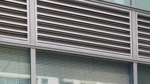 Solo un 28% de los encuestados cree que la inmigración debe disminuir.