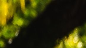 "La mayoría de latinos no puede trabajar desde casa", explican las organizaciones.