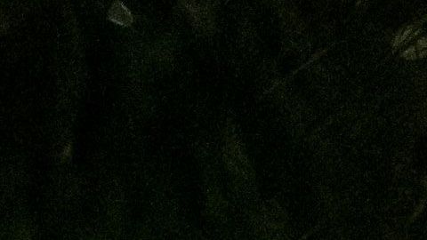 Isaías se volvió a convertir en huracán poco antes de llegar a costa estadounidense.