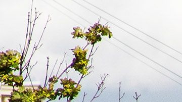 Postes de cables eléctricos derribados por el paso de la tormenta Isaías por Guttenberg, New Jersey.