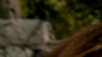 Estados en donde han sido aprobados los $300 dólares extra por desempleo