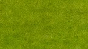 Philadelphia Phillies.