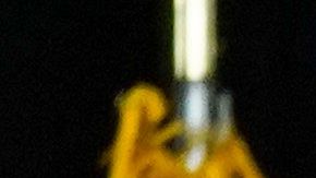 La senadora Kamala Harris y el exvicepresidente Joe Biden lideraron su primer evento juntos.