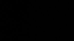 La senadora Kamala Harris es la compañera de boleta del exvicepresidente Joe Biden.