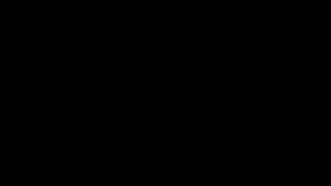 La senadora Kamala Harris es la compañera de boleta del exvicepresidente Joe Biden.