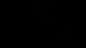 Kamala Harris se mostró convencida de poder desafiar a Trump.