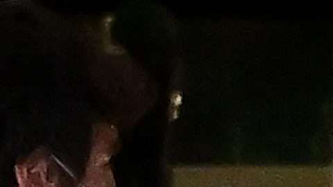 Neymar estuvo enloquecido tras ganarle al Leipzig.