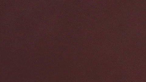 54% de los votantes considera positivo que Biden eligiera a Harris.