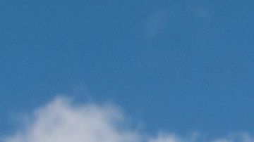 Un hombre con una bandera de apoyo a Trump.