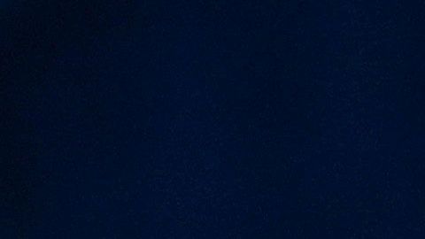 Biden agradeció a Barack Obamo por ser "un gran presidente".