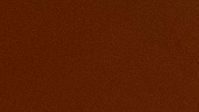 Personas miran el incendio LNU desde un viñedo en Healdsburg, California.