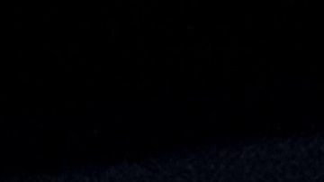 La pareja Biden-Harris camino a la Casa Blanca tiene mayor respaldo entre hispanos.