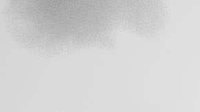 Carteles de apoyo a Trump en una casa de Estados Unidos.