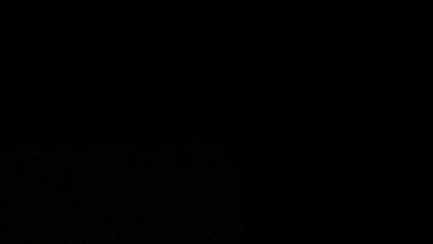 El presidente Trump acudió a la Convención Nacional Republicana.