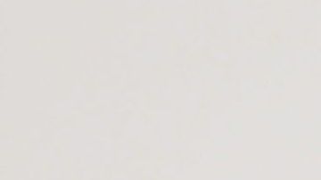 María Celeste Arrarás.