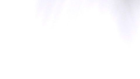 La estatua de un oso, símbolo de California, en el zoológico de Oakland.