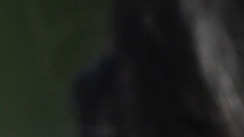 Se están vendiendo camisetas, mascarillas y pegatinas relacionados al caso de la soldado.