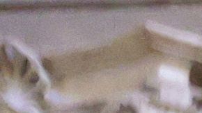 Así va la discusión: el nuevo paquete de apoyo aún no llega y el beneficio por desempleo se ve muy lejos