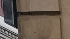 Juez obligaría a una compañía de seguros a pagar la pérdida de ingresos por coronavirus a un grupo de comerciantes