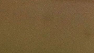 Fernando Tatis Jr., la figura de la temporada 2020 de MLB.