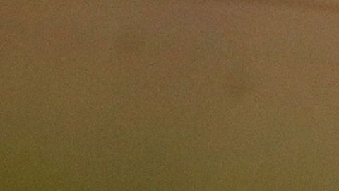 Fernando Tatis Jr., la figura de la temporada 2020 de MLB.