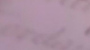 Barack Obama se dirige a la Convención Demócrata virtual el 19 de agosto de 2020.