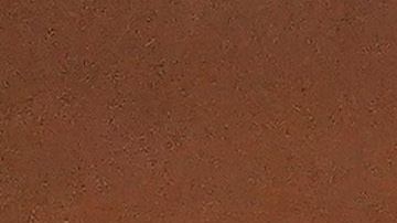 Los casos de COVID-19 en el interior de los Mets provocaron la decisión.