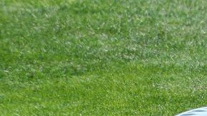 José Álvarez, retorciéndose del dolor.