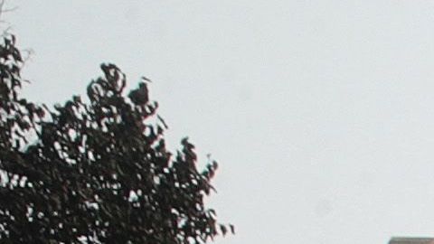 Vehículos quemados luego de que policías disparan a un hombre negro en Wisconsin.